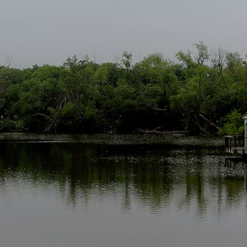 Mills Pond - Parks Near Me - Austin, Texas