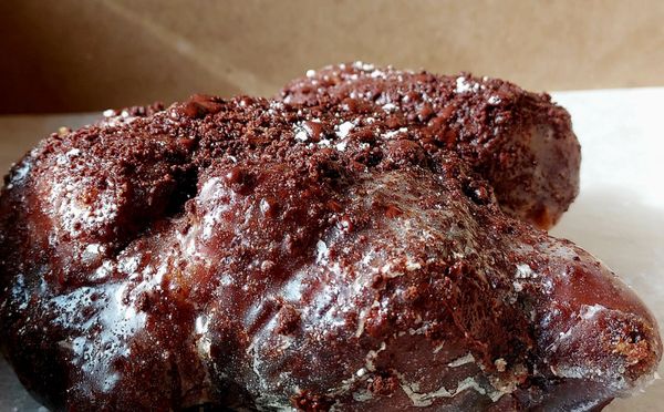 Curiosity Doughnuts by null