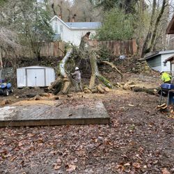 Rodgers Tree Care
