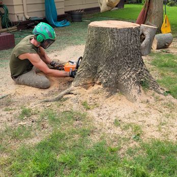 Woodard's Quality Tree care - Tree Services Near Me Woodard's Quality Tree care - Tree Services Near Me