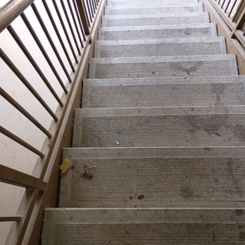 Mission Hill - Bugs and trash on the stairs for nearly a year. These stairs are never power washed or swept. It's gross to come home to this. - Apartments Near Me - New Braunfels, Texas Mission Hill - Bugs and trash on the stairs for nearly a year. These stairs are never power washed or swept. It's gross to come home to this. - Apartments Near Me - New Braunfels, Texas