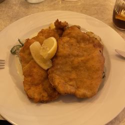 Gasthof zum Löwen - Schnitzel Wiener Art mit Bratkartoffeln und Gurkensalat. (Salat und Kartoffeln unter dem Schnitzel)