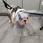 Photo of Glendale Veterinary Clinic