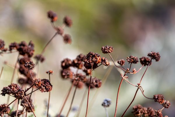 Pinnacles National Park by null