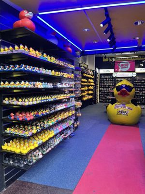 Amsterdam Duck Store by null