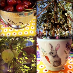 The Seasons Bed and Breakfast - Garden/breakfast details