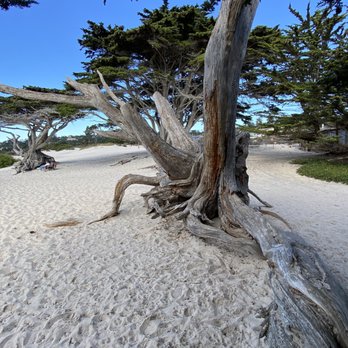 Carmel Beach - Beaches Near Me - Carmel-by-the-Sea, California
