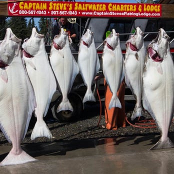 Captain Steve's Fishing Lodge - Fishing Near Me - Ninilchik, Alaska