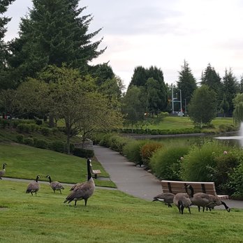 Murrayhill Pond - 7/12/2018 - There are a lot of touring Canadians in the park. - Lakes Near Me - Beaverton, Oregon Murrayhill Pond - 7/12/2018 - There are a lot of touring Canadians in the park. - Lakes Near Me - Beaverton, Oregon