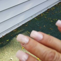 Pro Nail Salon - Seriously?