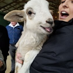 Milky Way Farm