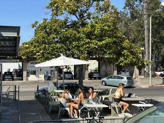 Dune Coffee Roasters by null