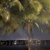 Miami Baked gift card
