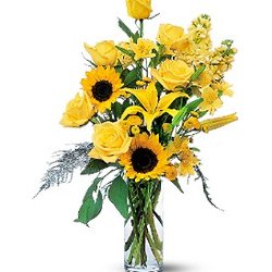 Array of Sunshine Florist