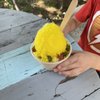 Parrot Ice Shack gift card