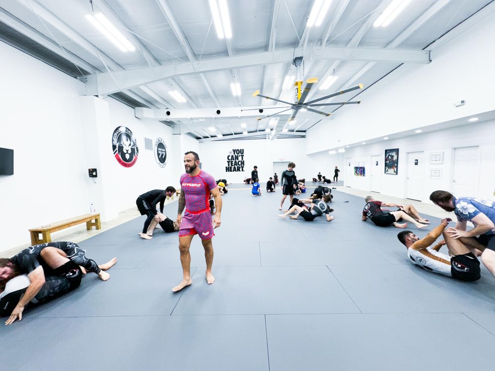 Leonardo Delgado Jiu-Jitsu Academy Logo
