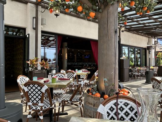 Romanella Cucina Romana by null