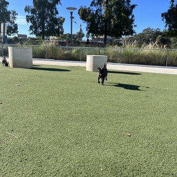 Tampa Dog Run - Dog Parks Near Me - Tampa, Florida Tampa Dog Run - Dog Parks Near Me - Tampa, Florida
