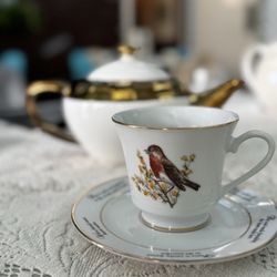 The Kraken's Cup