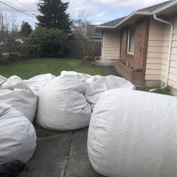 Attic Crew - 4 Trips to the Dump - Pest Control Near Me - Renton, Washington