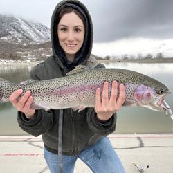 Cabela's