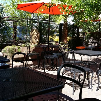 32 Shea - Cute, dog friendly patio - Coffee & Tea Near Me - Phoenix, Arizona 32 Shea - Cute, dog friendly patio - Coffee & Tea Near Me - Phoenix, Arizona