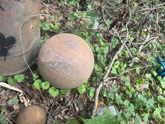 Doll's Head Trail by null