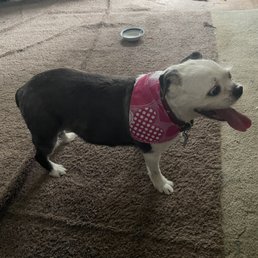 My girl After her long wiry hair was cut for the first time in her life. She received the VIP treatment! My girl After her long wiry hair was cut for the first time in her life. She received the VIP treatment!
