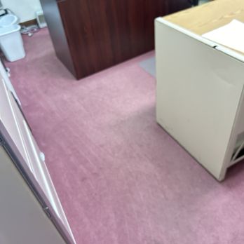 Squeak-E-Clean  - Home Cleaning Near Me