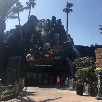 Rainforest Cafe - American Near Me - Galveston, Texas Rainforest Cafe - American Near Me - Galveston, Texas