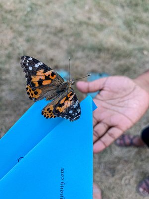 EveryStep Grief and Loss Services