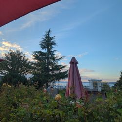 Spirits Bar & Grill