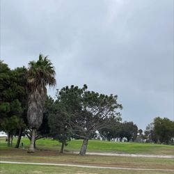 Sea N Air Golf Course - The coutse