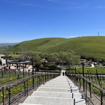 Nella Terra Cellars - Wineries Near Me - Sunol, California