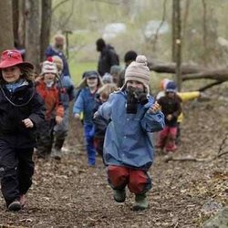 Fern & Feather Forest School - Fern & Feather Forest School