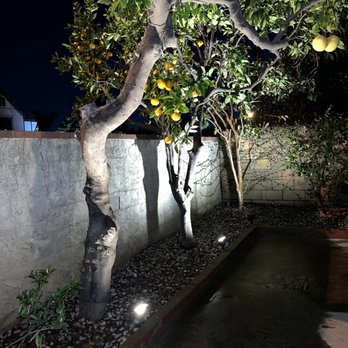 D Landscape & Hardscape - Landscaping Near Me