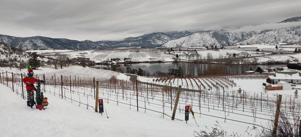 Tipsy Canyon Winery by null