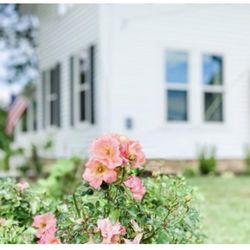 Ozark Farms - airbnb home for rent near fugitive beach phelps health MS & T in Rolla Missouri. Family Friendly sleeps 8 Near Ft Leonard Wood