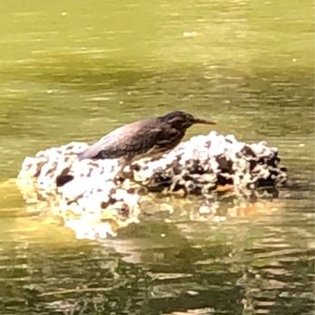 Veterans Wayside Park - Parks Near Me - Pinecrest, Florida