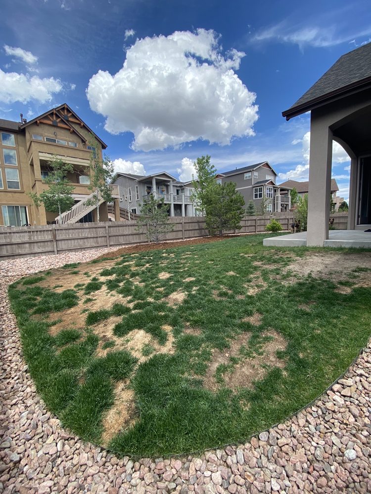 GREEN BELT TURF FARM Updated June 2024 4885 Saphire Dr, Colorado