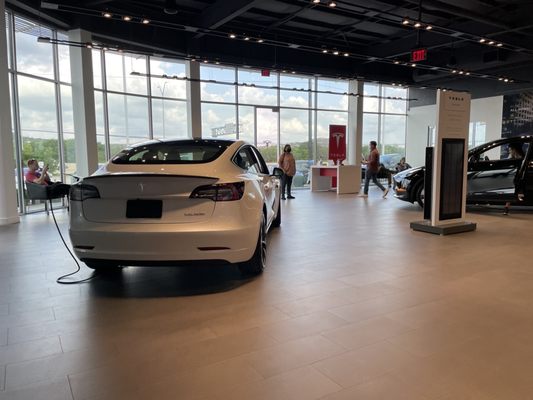Tesla by null