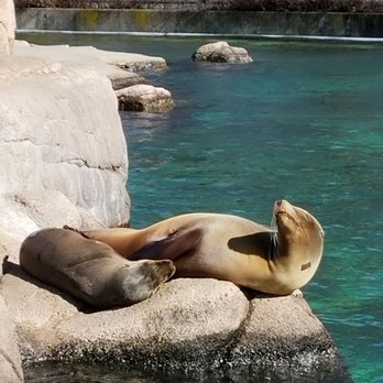 Bronx Zoo - That's the life - Zoos Near Me - Bronx, New York