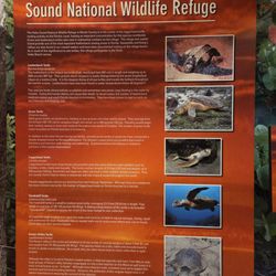 Nathaniel P. Reed Hobe Sound National Wildlife Refuge