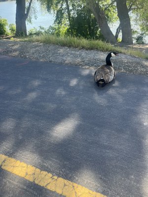 Tiscornia Park by null