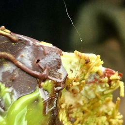 The black  hair frozen stuck in the ice cream bar