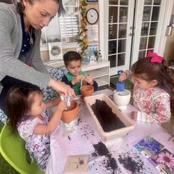Little Tree House Family Day Care