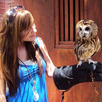 Wildlife Learning Center - An enchanting experience! - Zoos Near Me - Sylmar, California Wildlife Learning Center - An enchanting experience! - Zoos Near Me - Sylmar, California