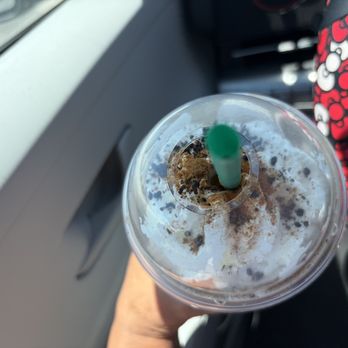 Starbucks - Coffee & Tea Near Me - Orlando, Florida Starbucks - Coffee & Tea Near Me - Orlando, Florida