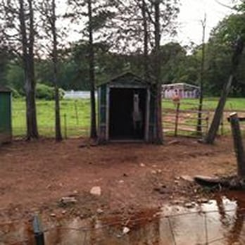 The Kaaterskill - Alpaca! - Venues & Event Spaces Near Me - Catskill, New York