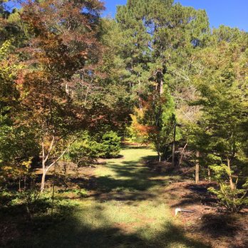 Ash's Japanese Maple Nursery - Nurseries & Gardening Near Me - Hampstead, North Carolina